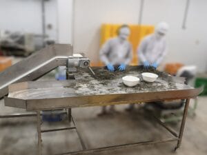 株式会社イータス　新規製作　業務用生ごみ処理機　